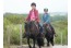 Guesthouse Ride by the Sea op 800 meter van het Walcherse strand van Dishoek VMP060
